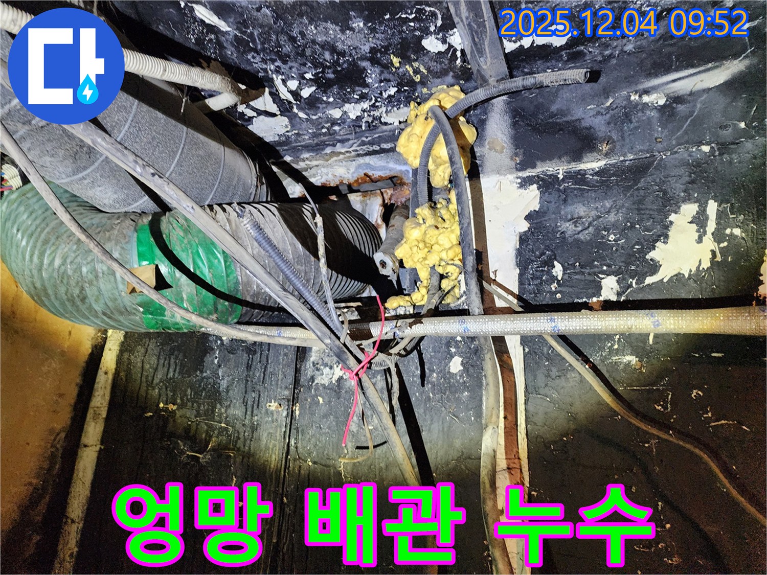 성동구 마장동 누수 현장 - 복잡하게 얽힌 배관 속에서 누수 지점을 찾아 해결하는 모습입니다.