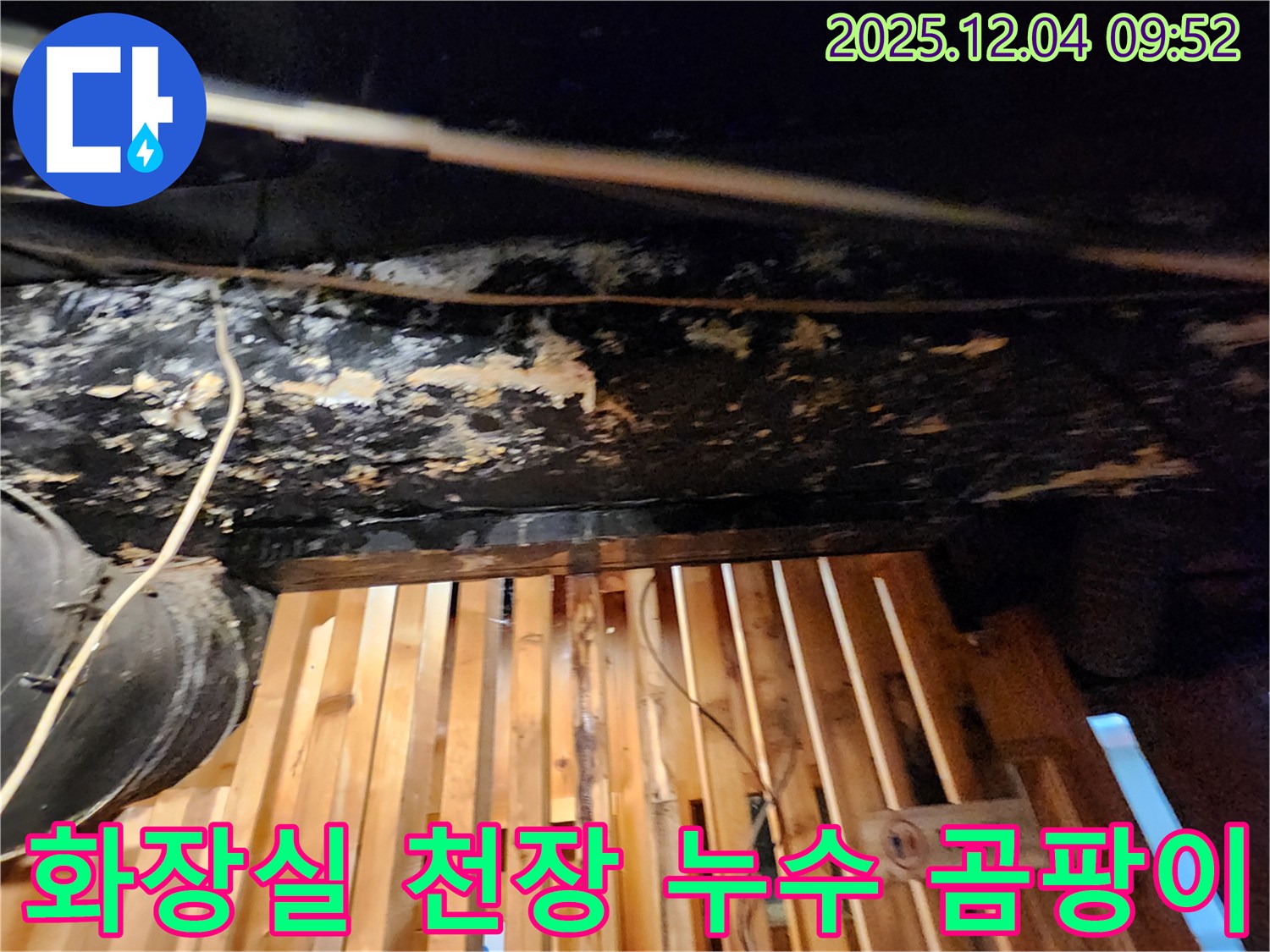 성동구 마조로 화장실 천장 누수 - 곰팡이 발생으로 긴급 누수탐지 및 공사 진행
