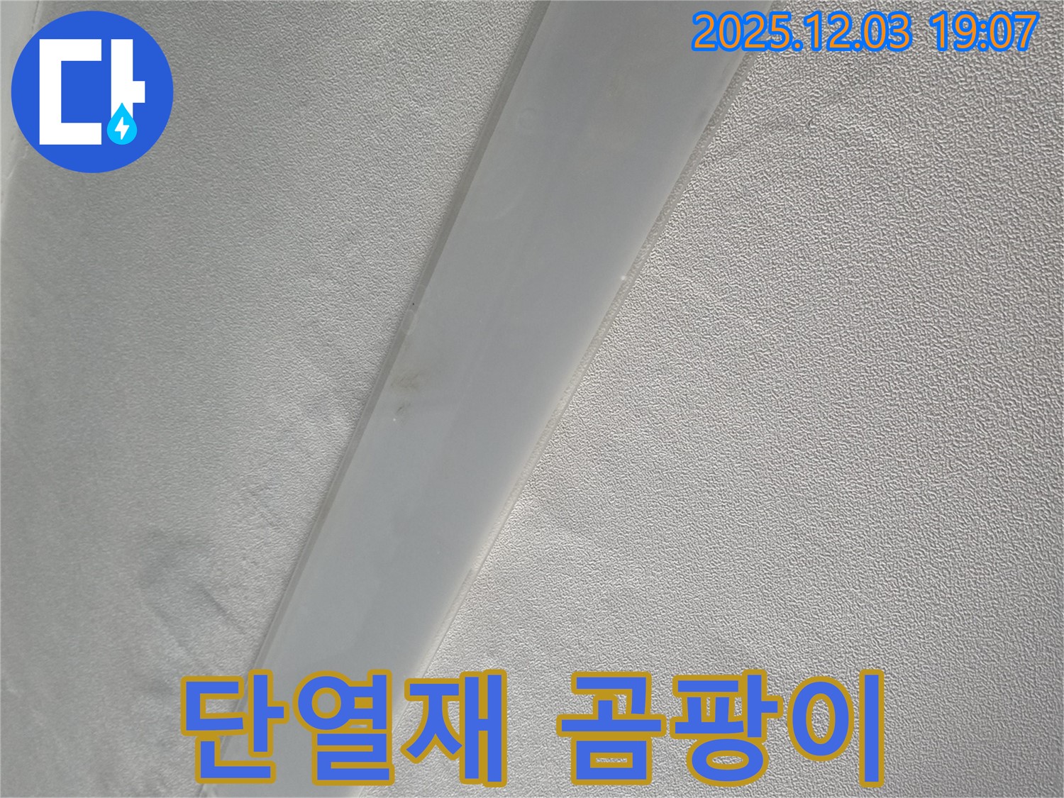 안양 프라자아파트 천장 - 임시 배수 시설 설치 후 천장 내부 단열재 곰팡이 발생 확인