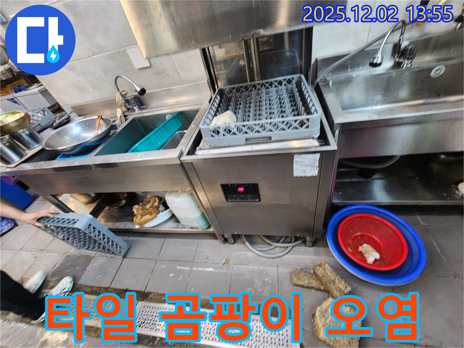 포천 이동면 노곡리 식당 - 식기세척기 주변 바닥 타일 틈새 오염 및 곰팡이 발생
