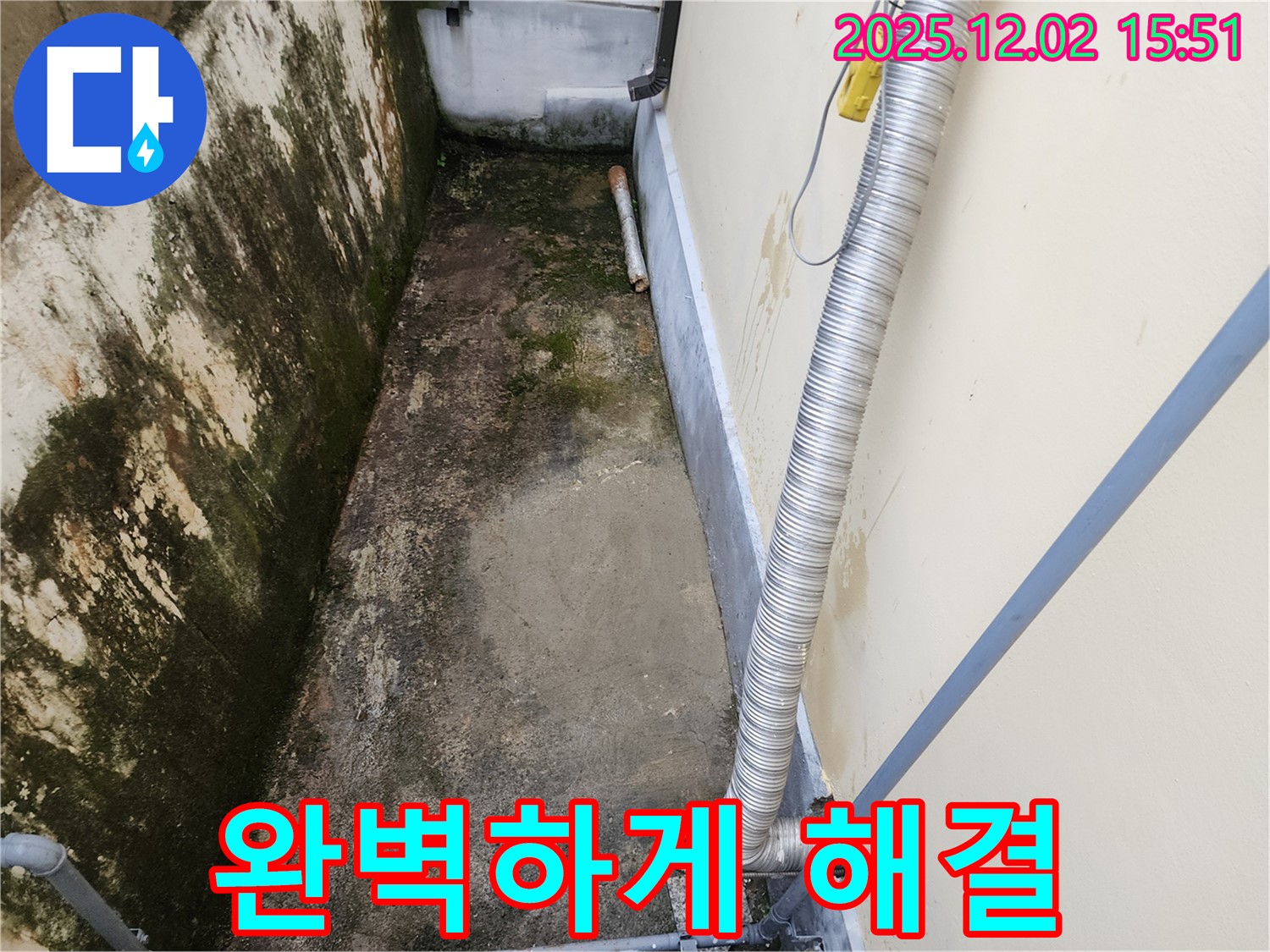 일동면 좁은 공간 곰팡이 제거 - 완벽한 시공으로 곰팡이, 냄새, 습기 문제 해결!