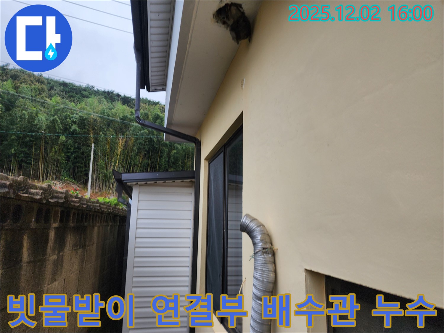 포천시 일동면 주택 빗물받이 연결부 불량 및 배수관 막힘으로 외벽 누수 해결 - 연결부 수리 및 배수관 청소