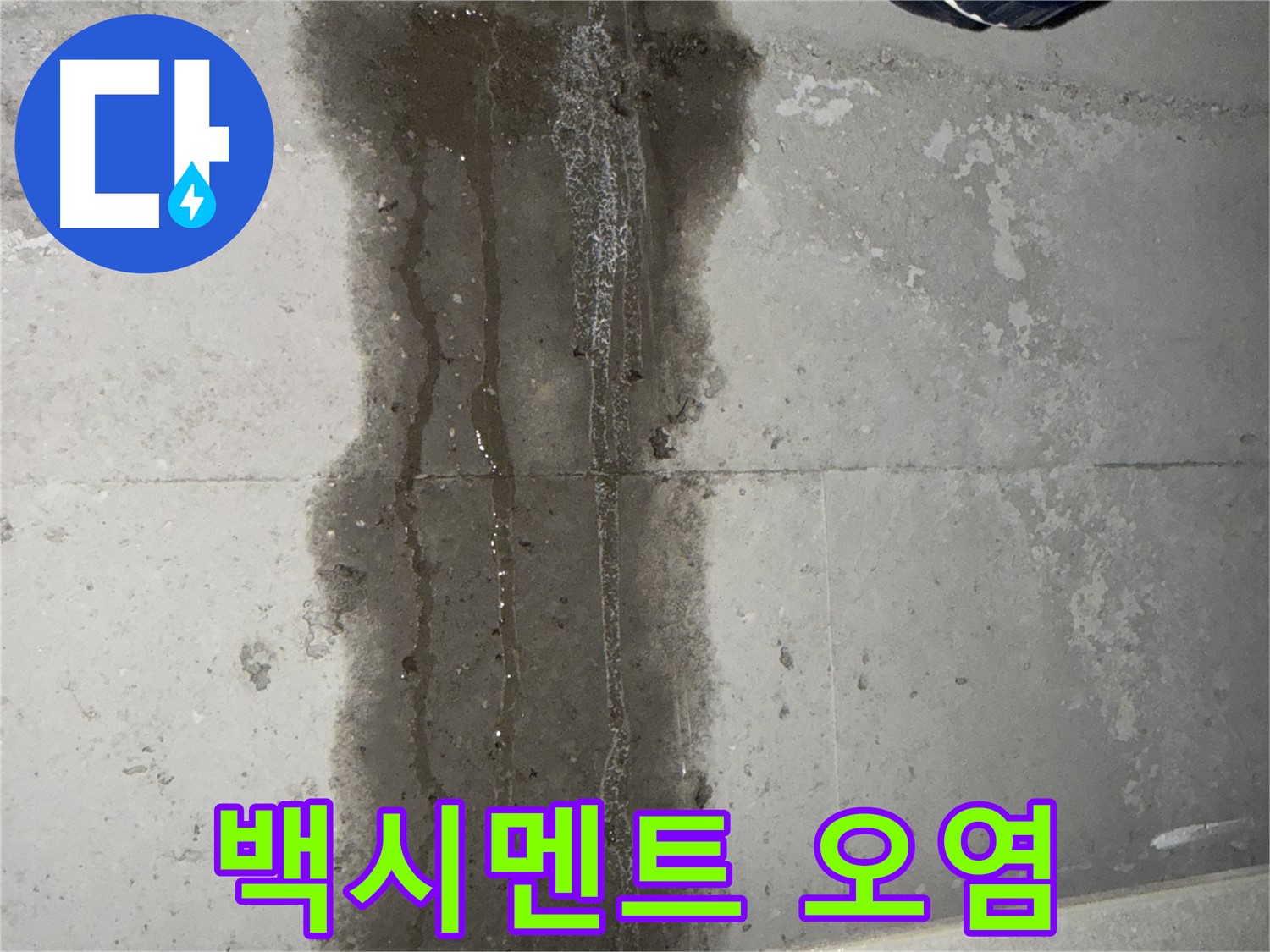 동두천 지행동 동양엔파트 아파트 - 타일 사이 백시멘트 오염 - 곰팡이 의심