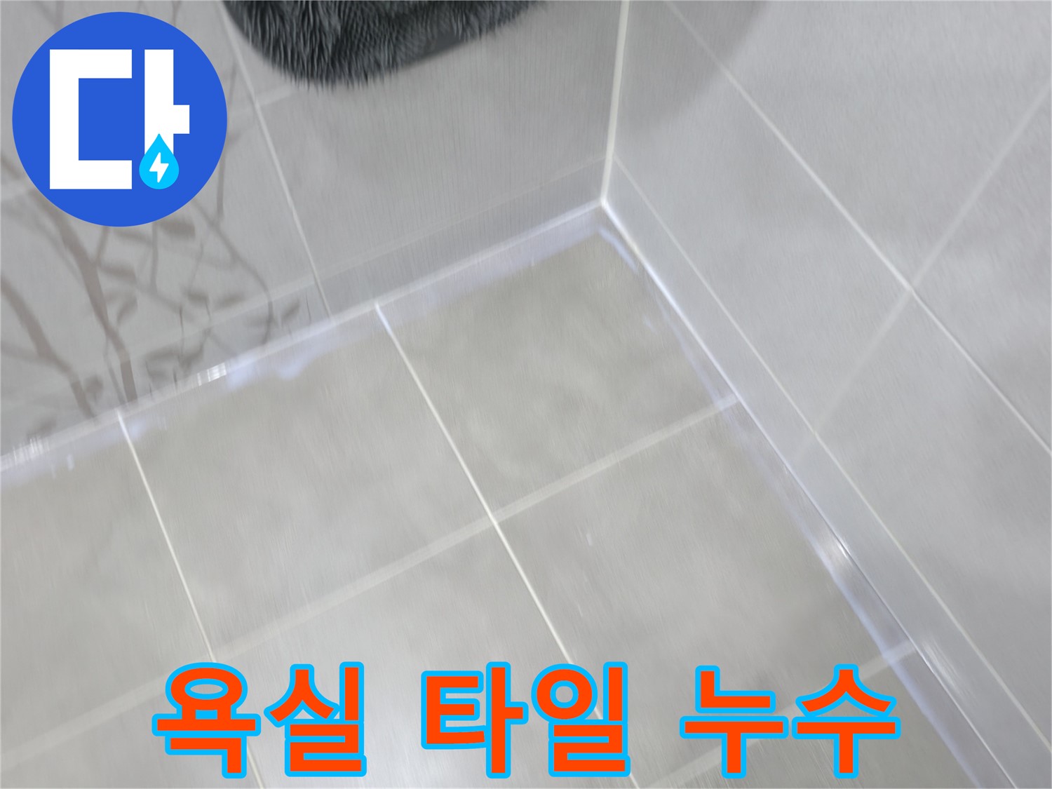 마포 중동 건영 아파트 욕실 변기 하부 누수 - 백시멘트 들뜸 및 재시공으로 해결