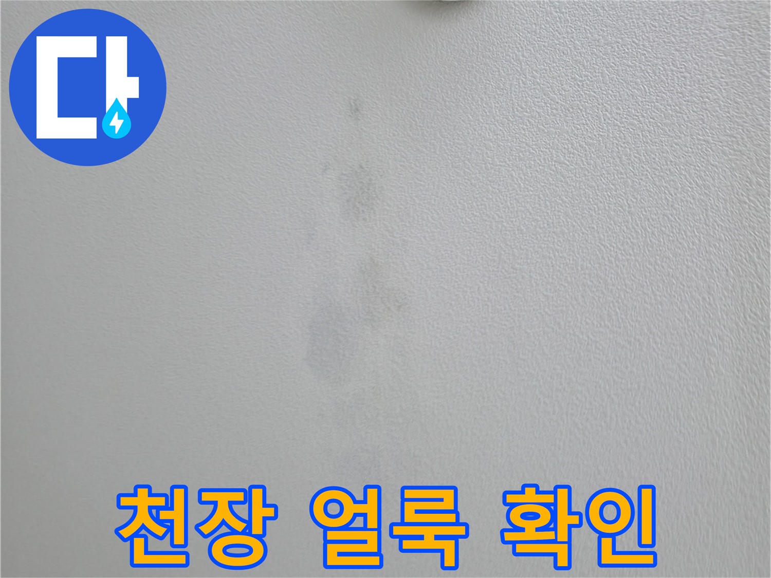 의왕시 백운그린힐 아파트 천장 얼룩 - 꼼꼼한 확인 작업 진행