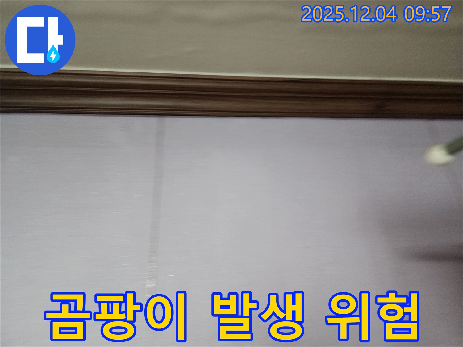 경기도 포천시 일동면 유동리 천장 - 얼룩 방치 시 곰팡이 발생 위험이 있습니다.
