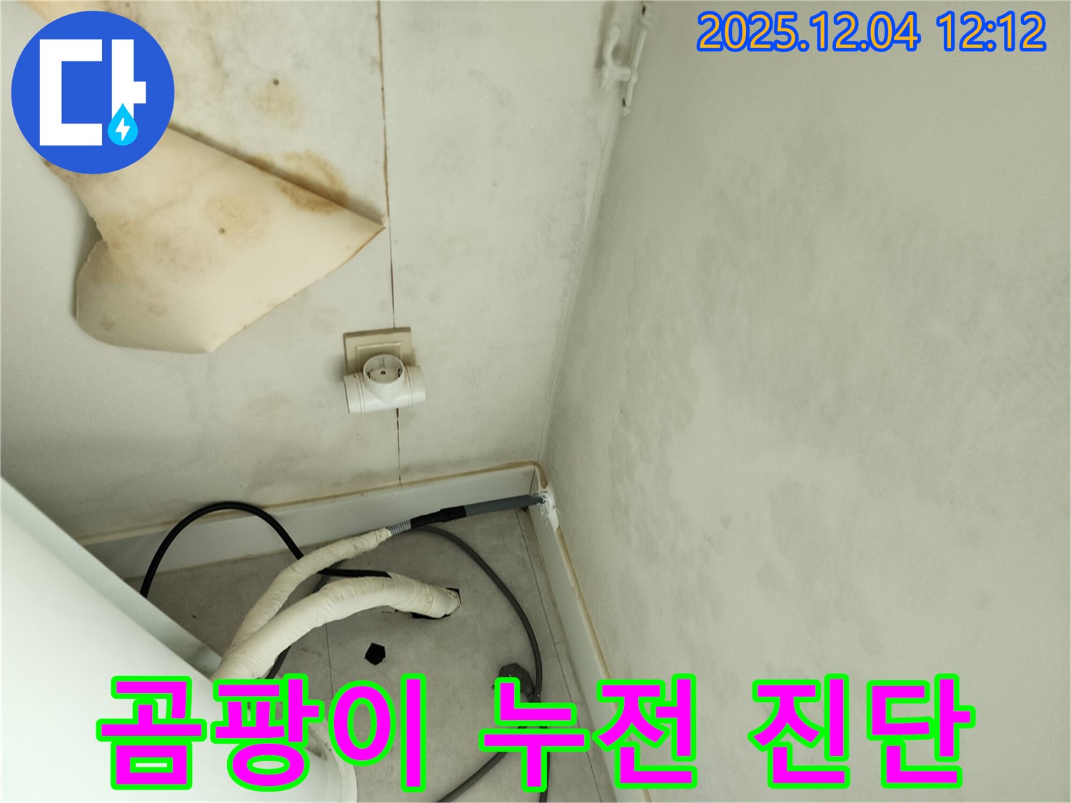 경기도 포천시 일동면 기산리 주택 누수 - 곰팡이 핀 천장과 누전 위험을 진단하고 있습니다.