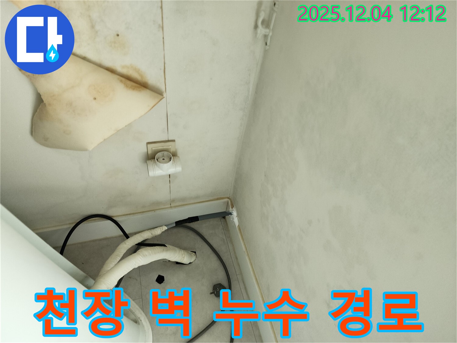 경기도 포천시 일동면 기산리 주택 누수 - 곰팡이 핀 천장과 벽면의 누수 경로를 추적하여 정확한 누수 지점을 찾고 있습니다.