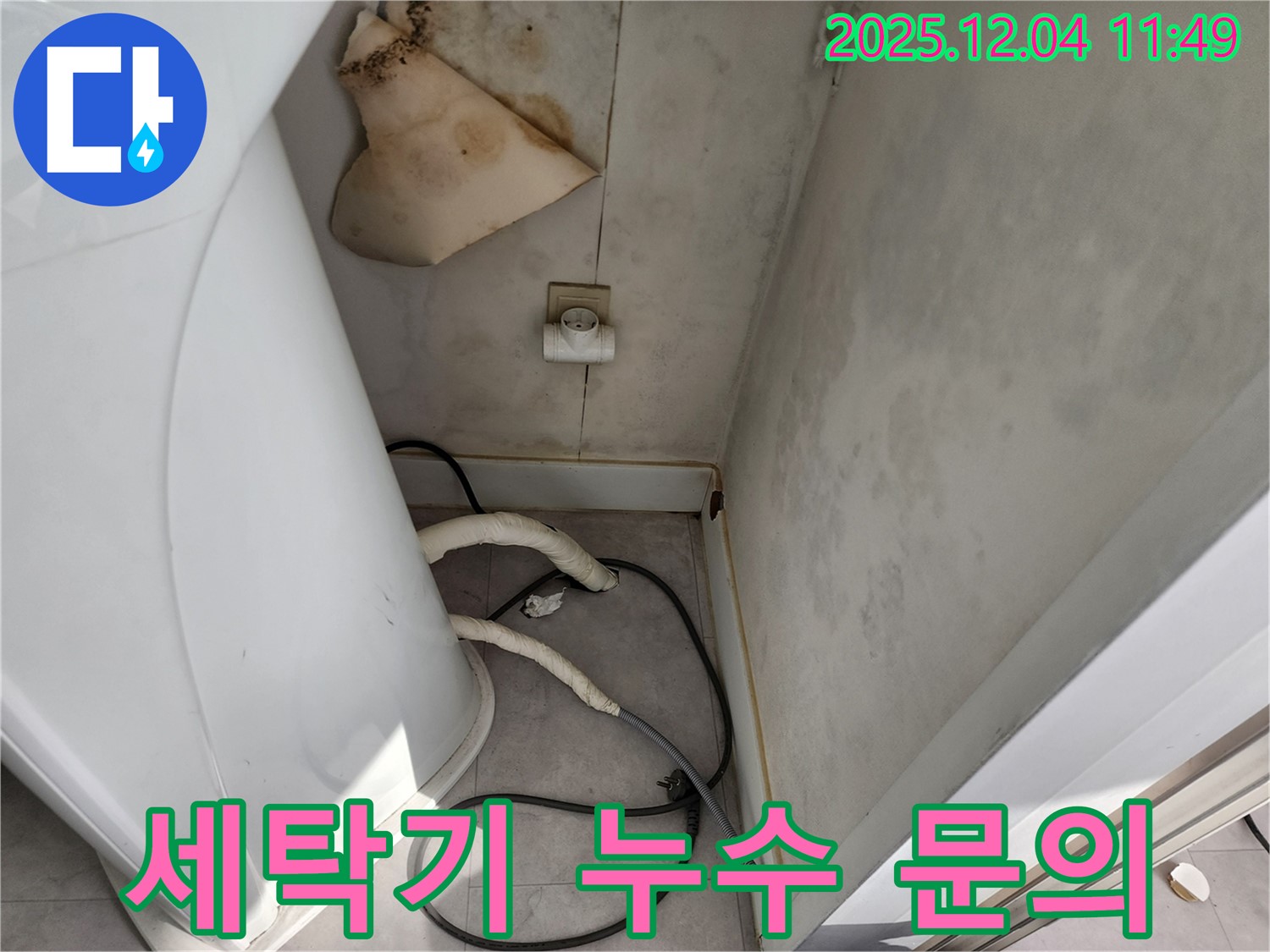 일동면 - 세탁기 뒤 젖은 벽 - 콘센트 곰팡이 - 감전사고 위험 - 즉시 전문가에게 문의 - 24시간 대기