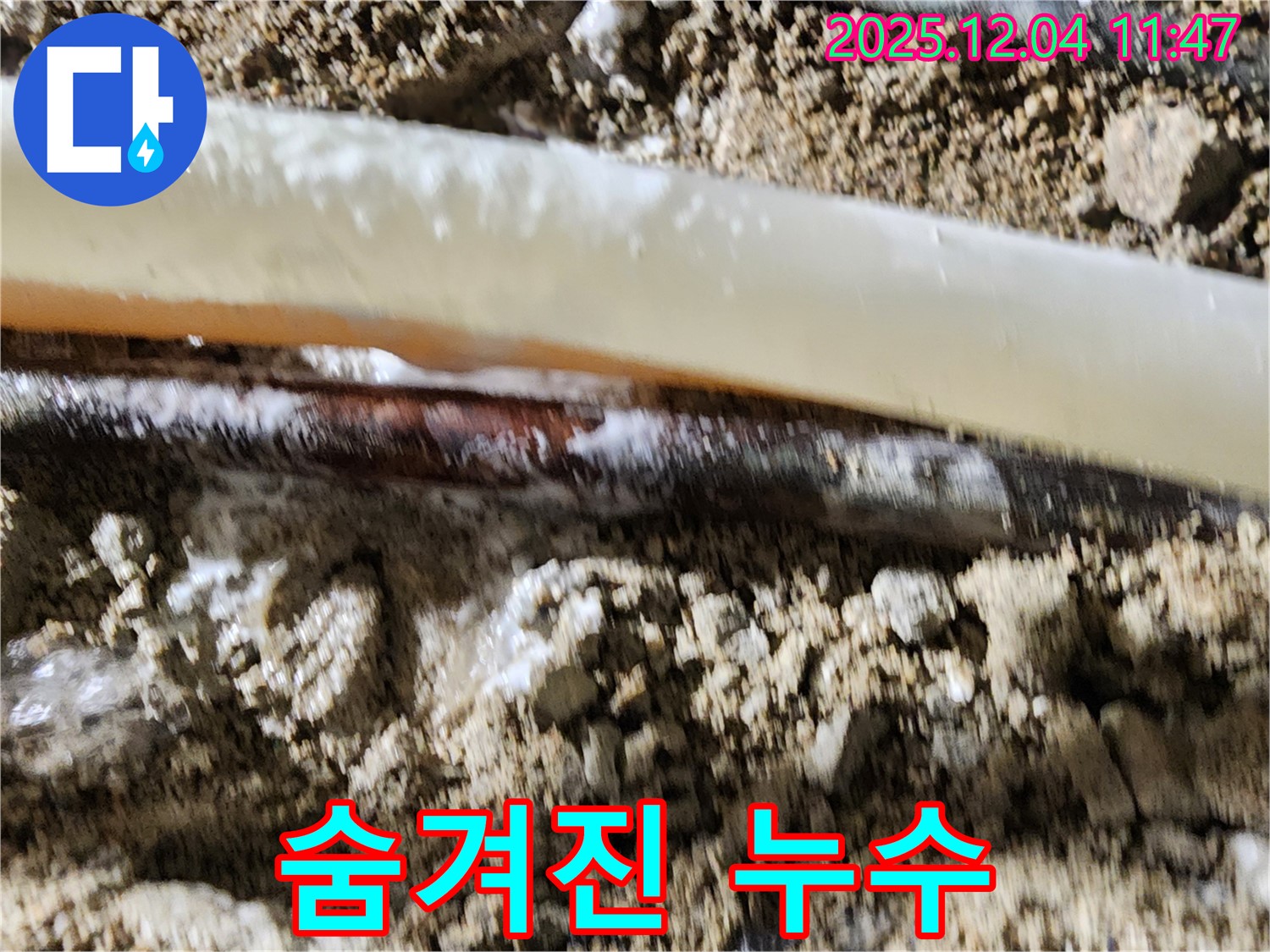 포천 일동면 기산리 누수 현장 - 숨겨진 누수를 찾기 위해 꼼꼼하게 탐지 작업을 진행하고 있습니다.