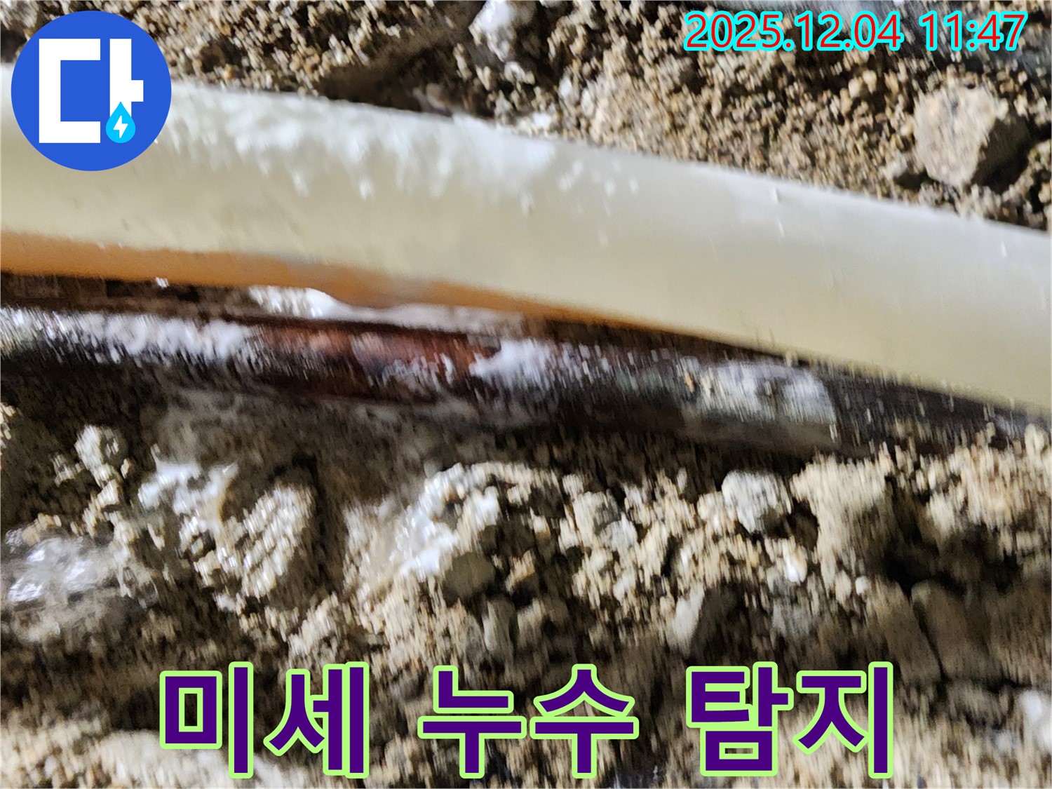 포천시 일동면 기산리 누수 현장 - 미세한 누수도 놓치지 않는 정밀 탐지!