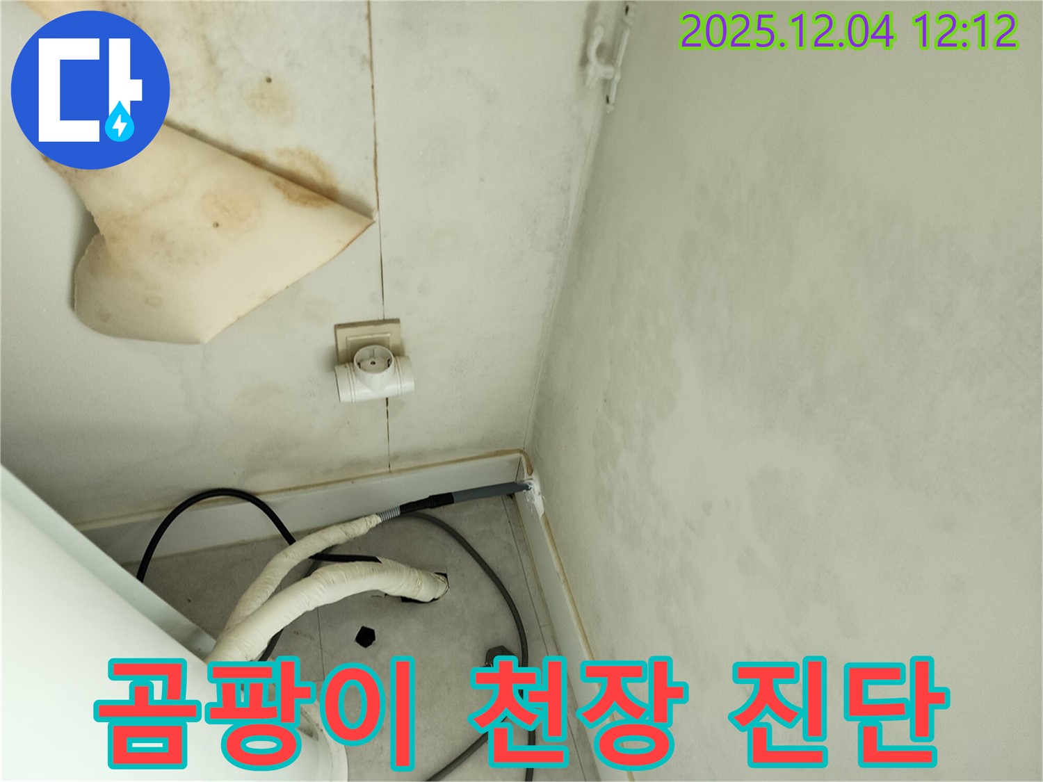 포천시 일동면 기산리 주택 - 곰팡이가 심하게 핀 천장을 긴급하게 진단하고 있습니다.