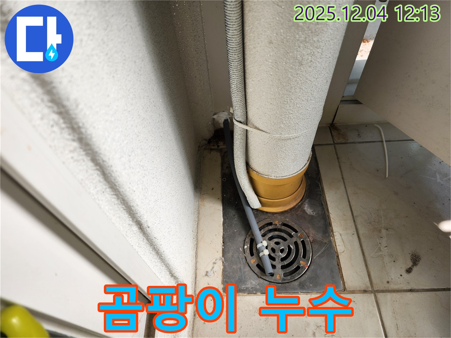 포천시 일동면 배수구 주변 곰팡이 - 친환경 약품 제거 및 방지 시공으로 안심!