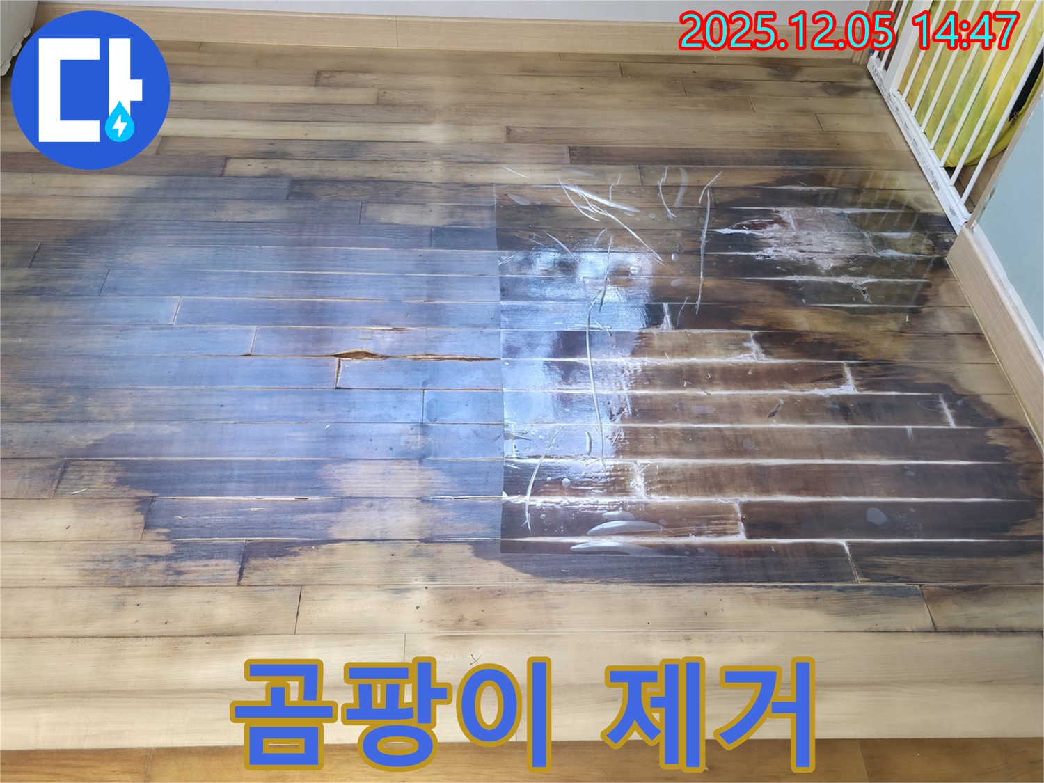 곰팡이 제거 - 마루 곰팡이 깨끗하게 제거