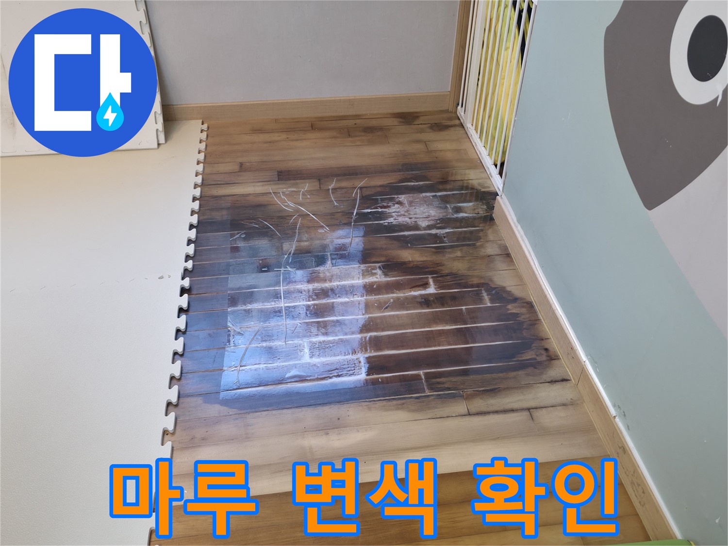 마루 변색 상태 확인 - 누수 피해 정도를 정확히 파악합니다.