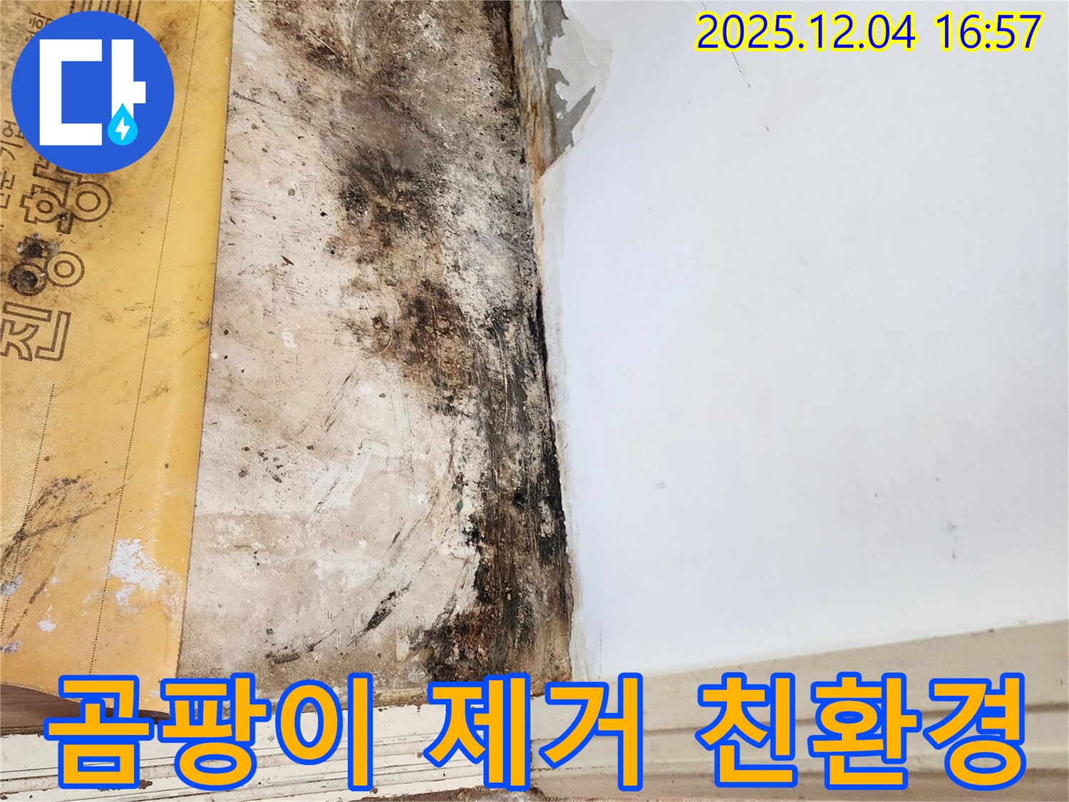 포천 일동면 화대리 누수 현장 - 곰팡이 제거 후 친환경 시공 완료