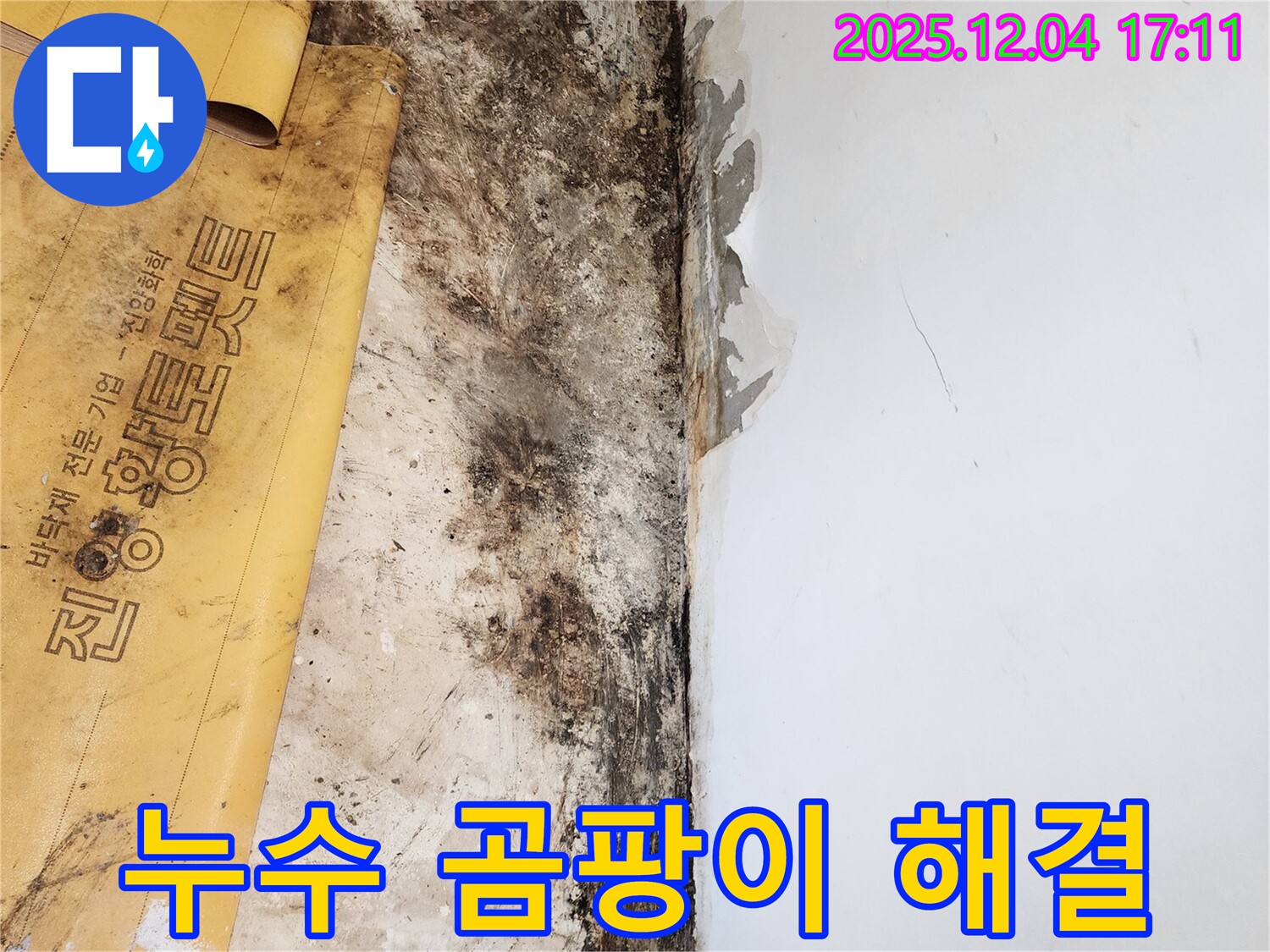 포천시 일동면 누수 - 곰팡이 문제 해결 후 쾌적한 공간으로 변신