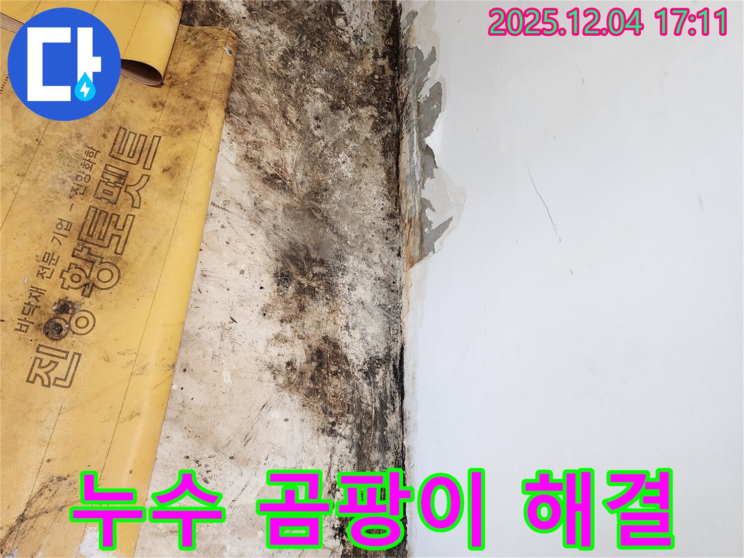 포천시 일동면 화대리 누수 - 곰팡이 문제 완벽 해결 후 쾌적한 공간