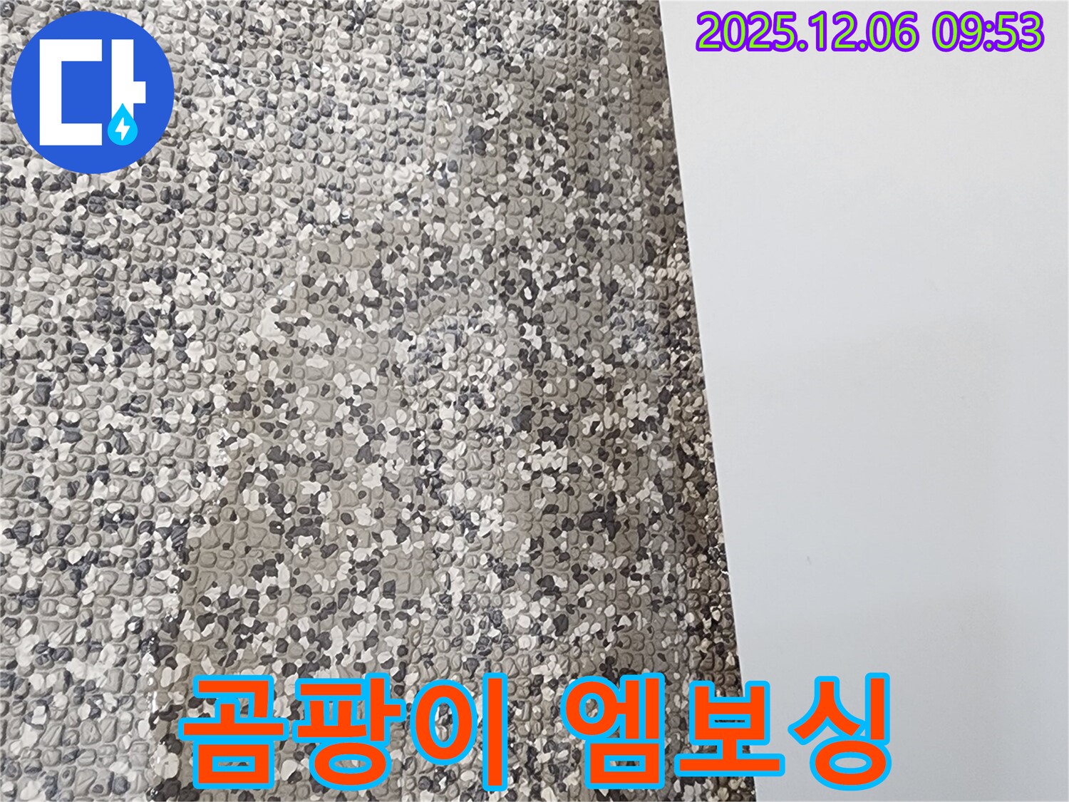 곰팡이 핀 엠보싱 장판 - 엠보싱 장판에 곰팡이가 심하게 핀 모습