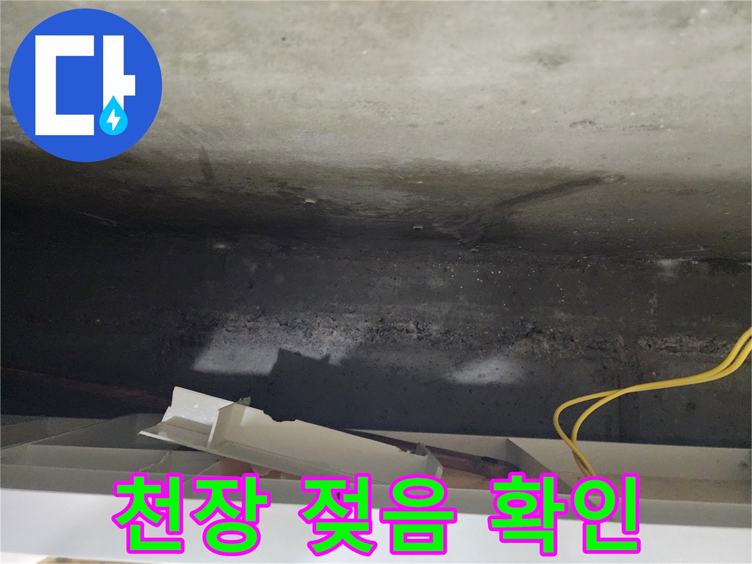 기흥구 민속촌 인근 천장 젖음 현상 - 누수 탐지를 통해 정확한 누수 지점을 찾아냅니다.