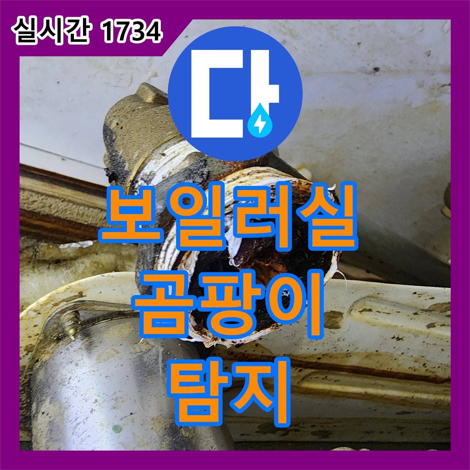 면목동 누수탐지, 보일러실 습기와 곰팡이 원인 해결