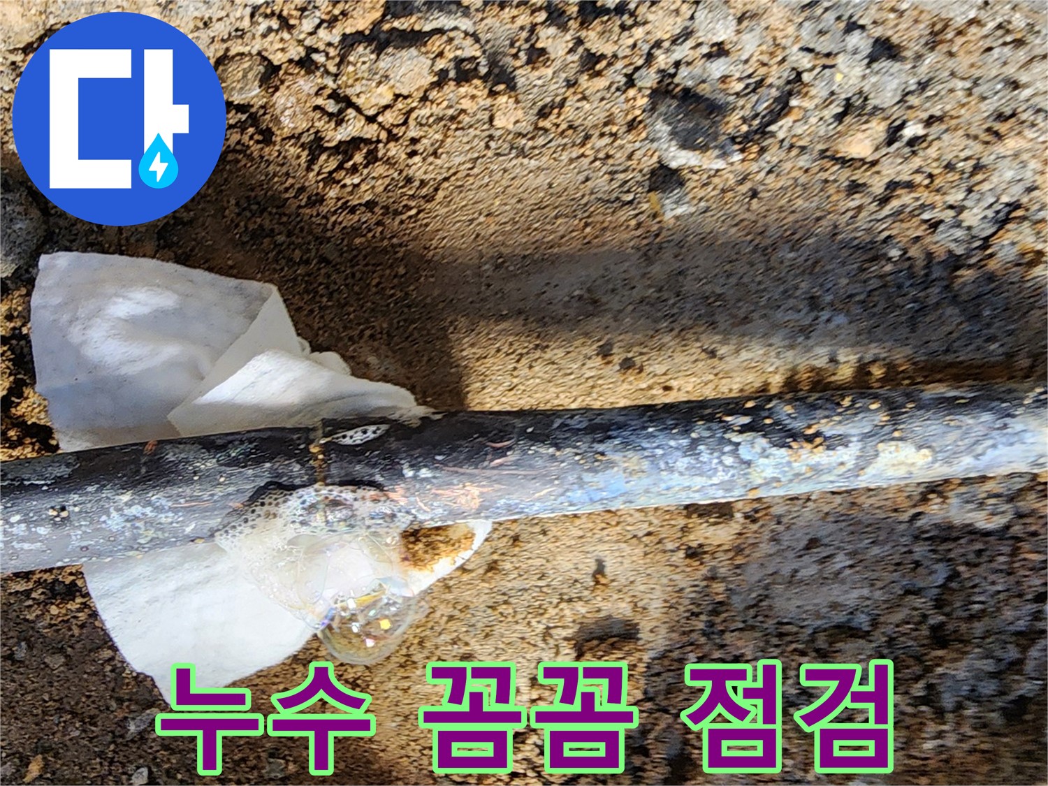 노원구 월계동 삼호아파트 - 동배관 누수를 꼼꼼하게 점검하는 모습 - 작은 누수도 놓치지 않습니다!