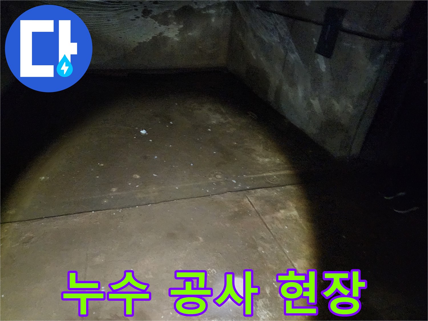 노원구 월계동 아파트 누수 현장 - 바닥의 상태를 통해 누수의 심각성을 짐작할 수 있습니다.