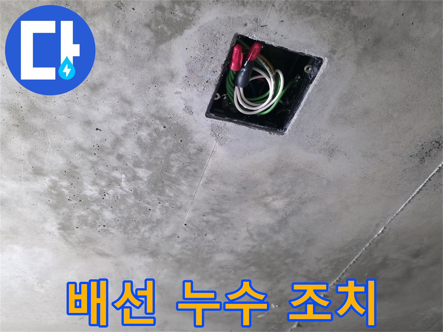 향남 누수 현장 - 천장 속 전기 배선에서 누수 흔적을 발견하고 즉시 조치하는 모습입니다 - 안전이 최우선!
