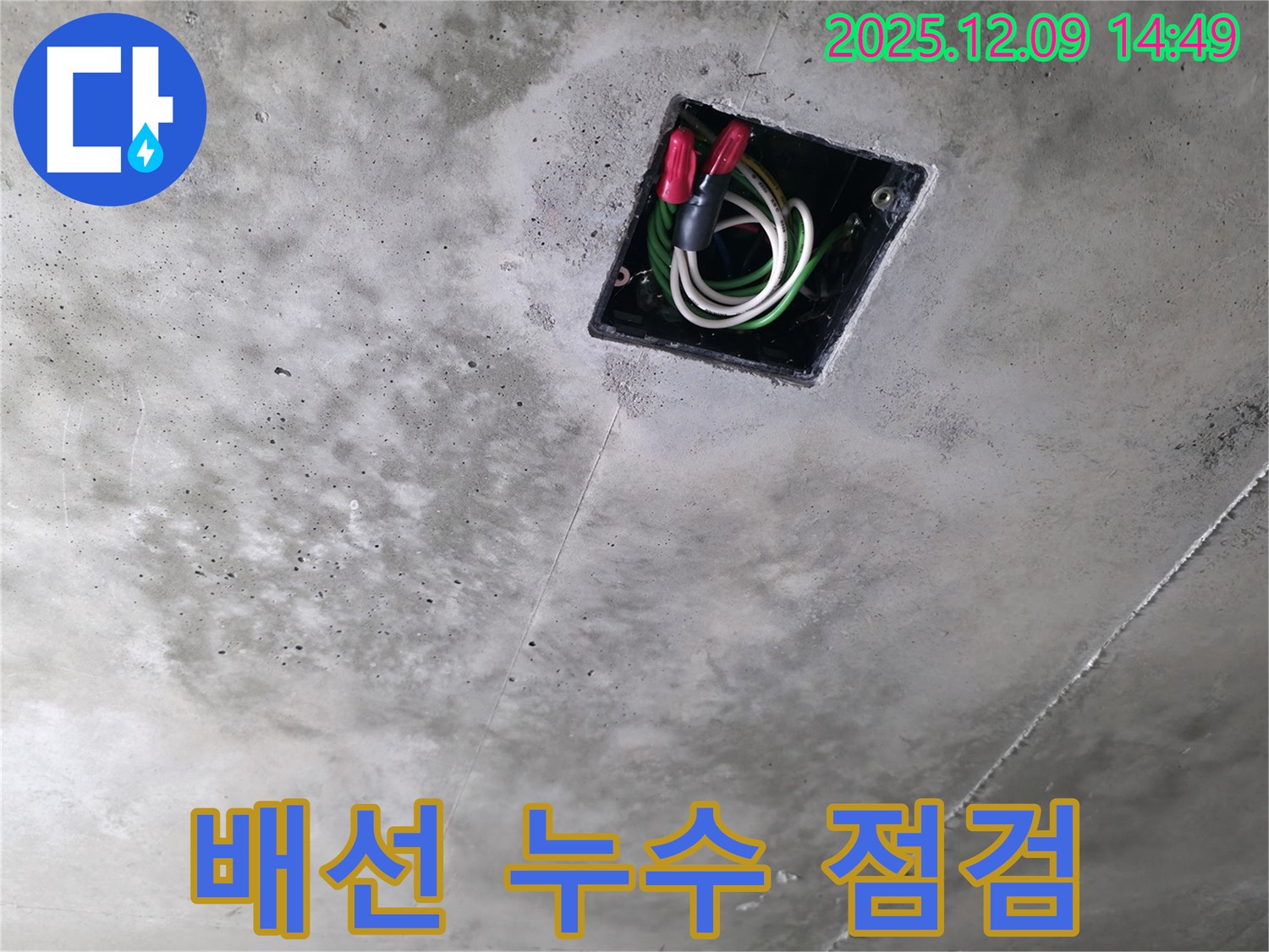 향남 에일린의뜰 아파트 천장 배선 누수 초기 점검 - 배선 상태와 누수 흔적을 꼼꼼히 확인합니다.