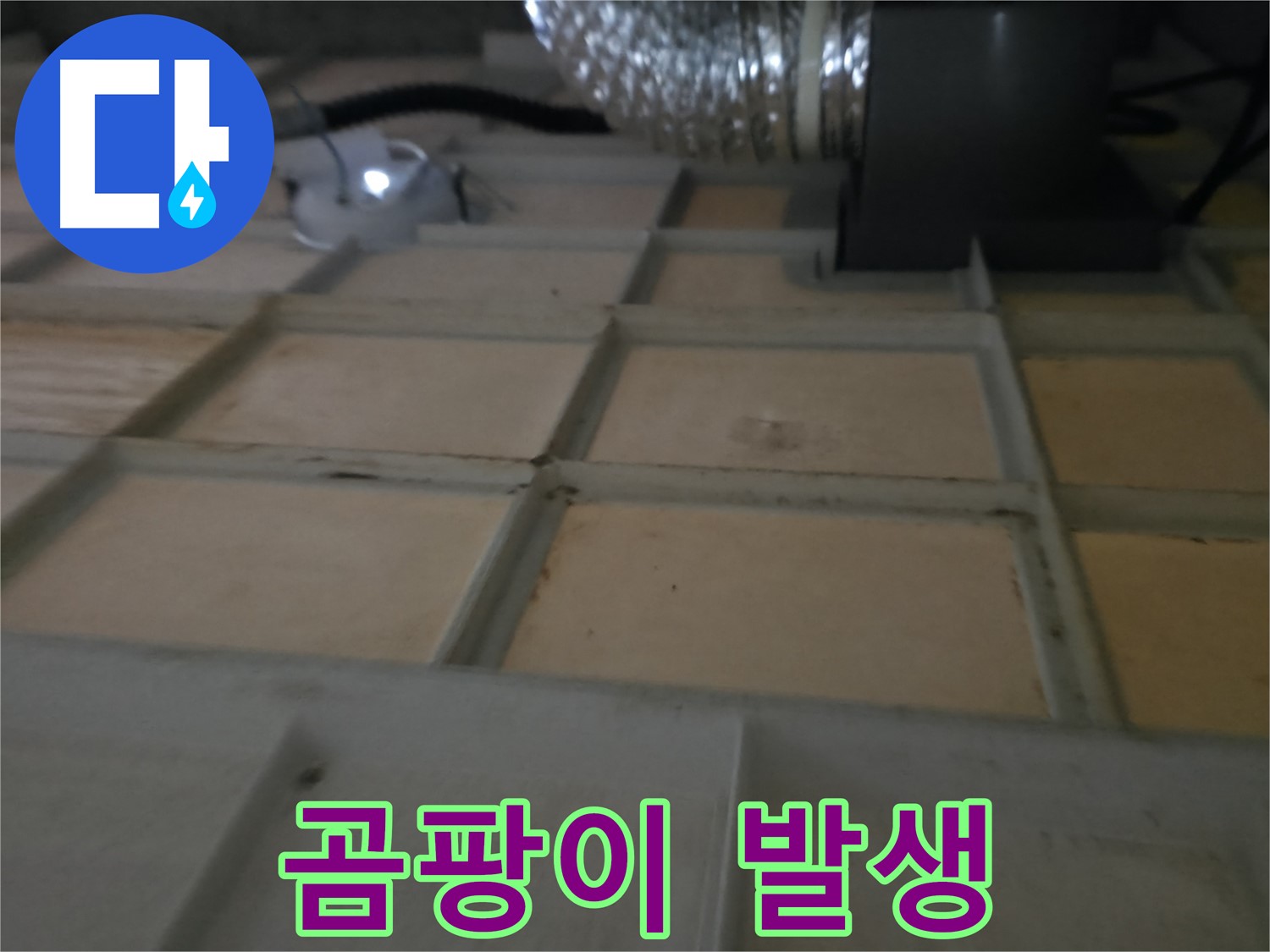 화성시 향남읍 아파트 천장 누수 - 누수 원인을 진단하고 해결 방안을 제시하는 과정