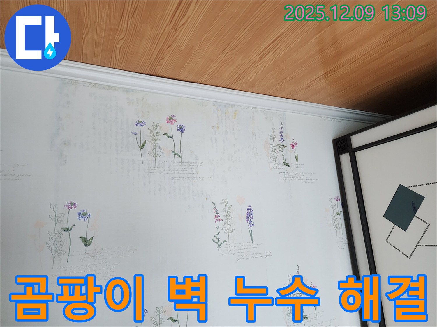 곰팡이 벽 - 누수 전문가가 정확한 진단과 해결책을 제시하여 고민을 해결해 드립니다.