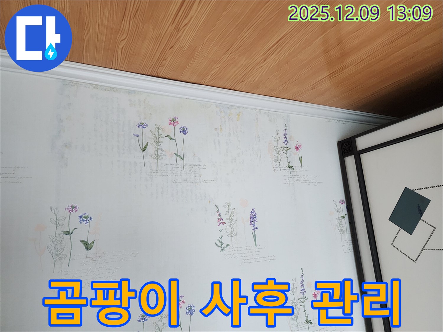 곰팡이 벽지 - 원인 해결은 물론 사후 관리까지 책임지는 누수 탐지 서비스.