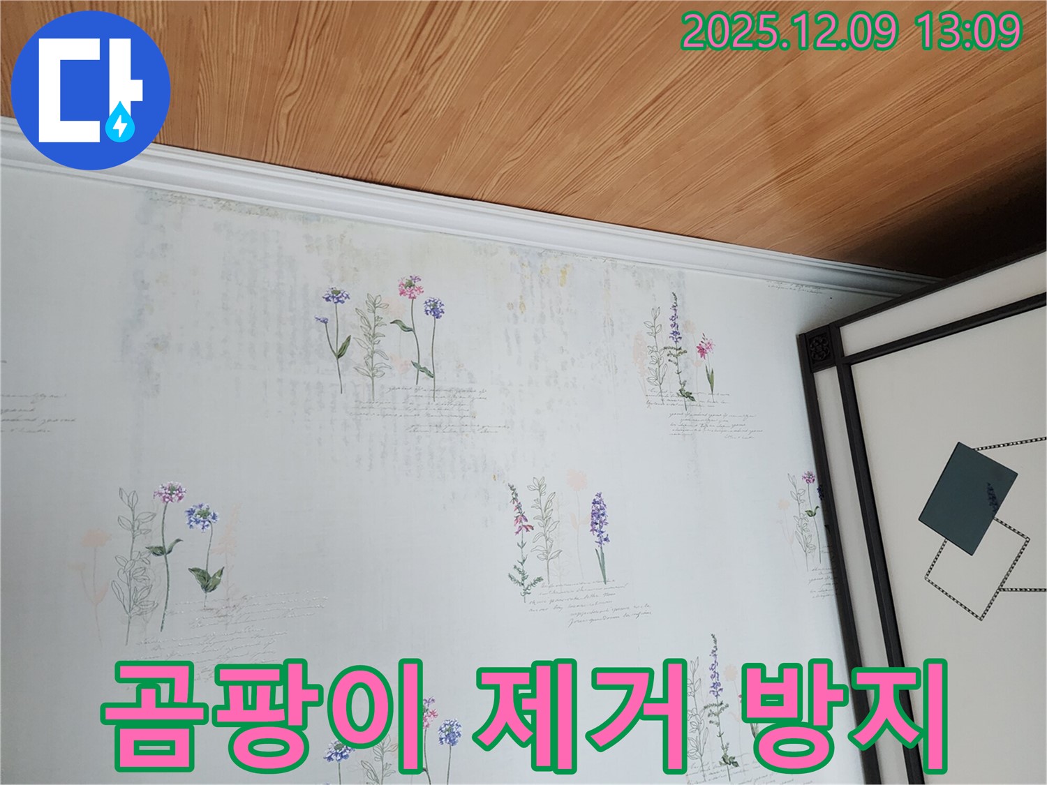 곰팡이 슨 벽지 - 완벽 제거는 물론 재발 방지까지 책임지는 누수 탐지 서비스.