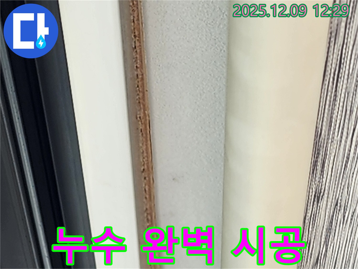 누수 탐지부터 완벽 시공까지 - 곰팡이 문제, 확실하게 해결!