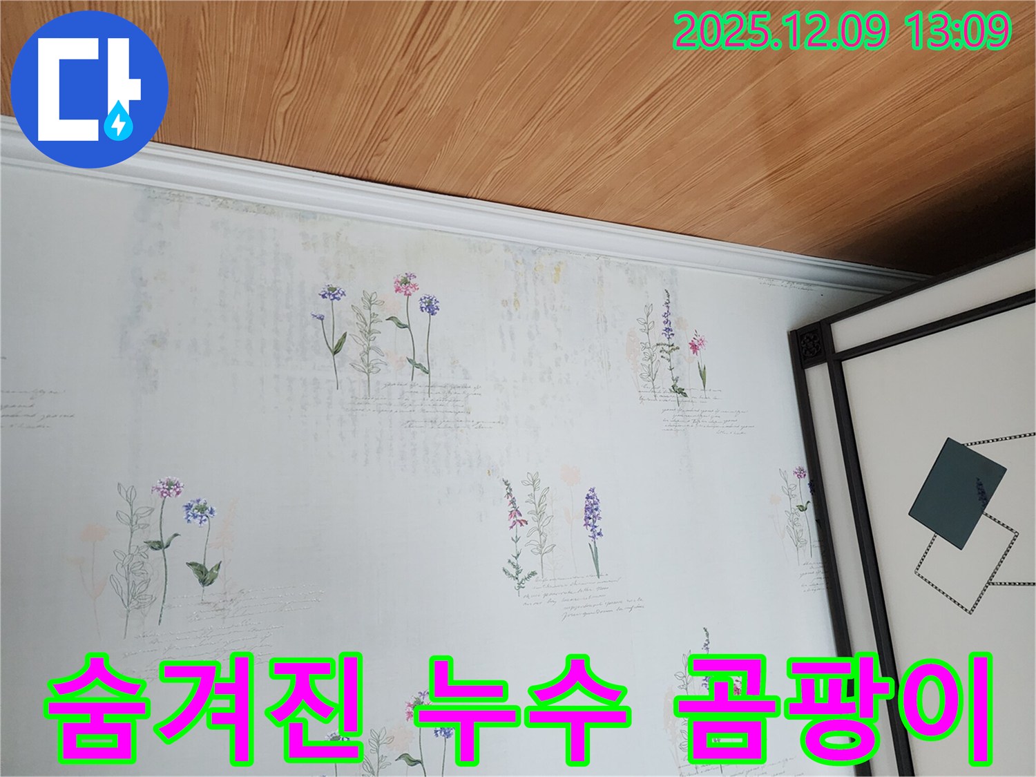 벽지 곰팡이 뒤에 숨겨진 누수 - 첨단 장비로 찾아내 완벽하게 해결해 드립니다.