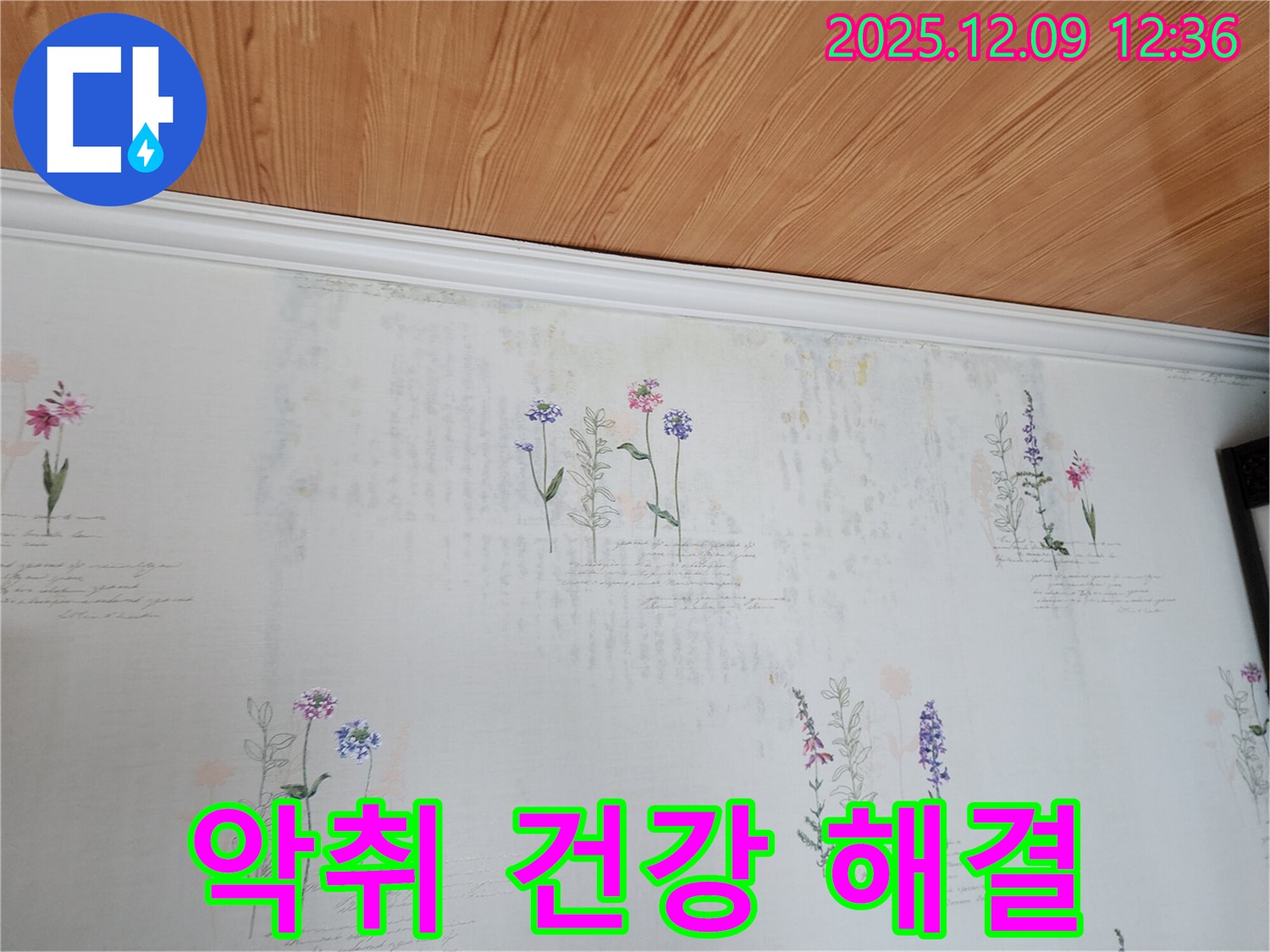 성동리 누수 문제 해결 전문 - 곰팡이 악취 벽지 문제의 근본 원인인 누수를 확실하게 해결하여 가족 건강을 지키는 완벽한 누수 공사