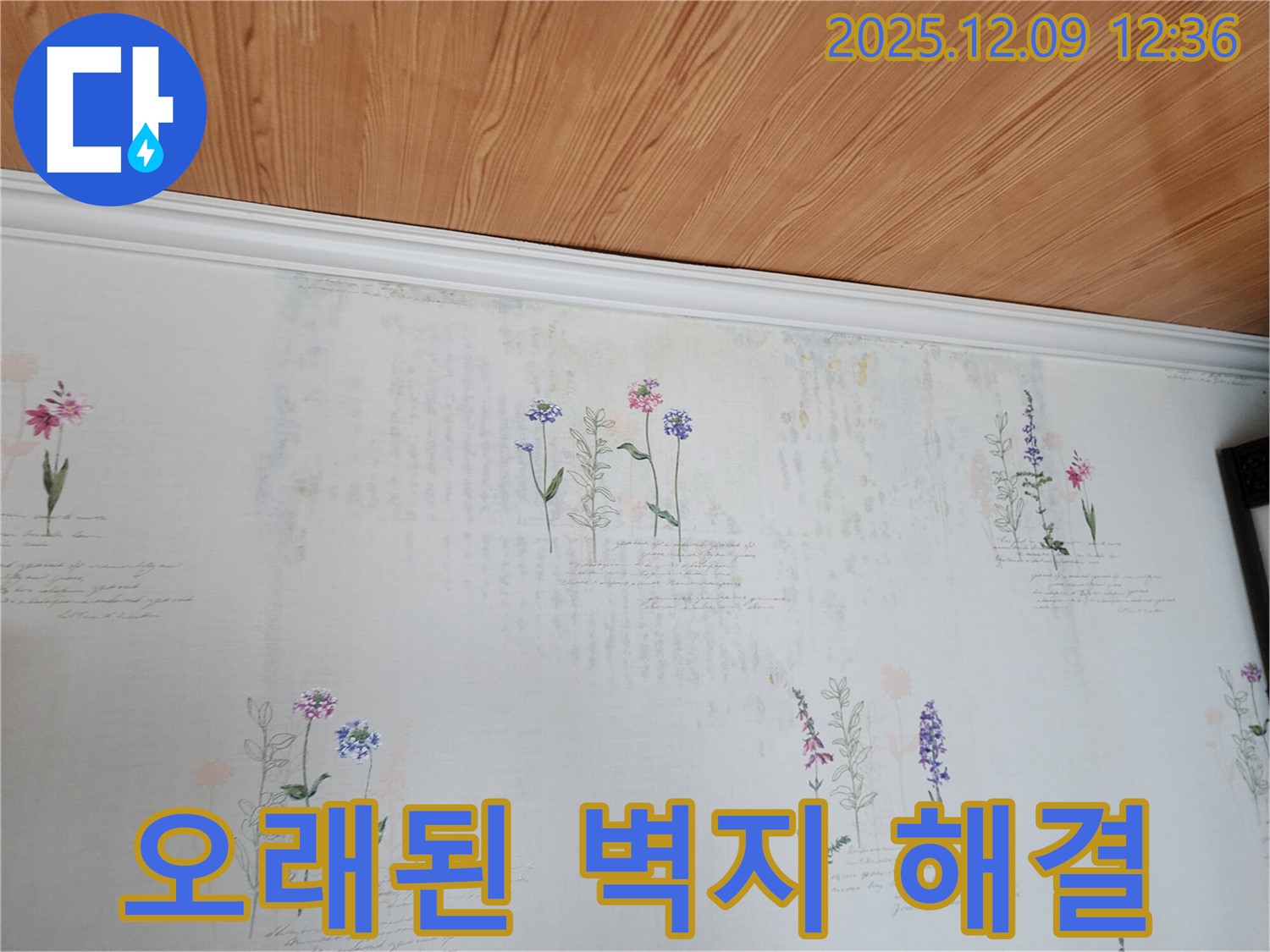 성동리 누수 문제 해결 전문 - 오래된 벽지 문제의 근본 원인인 누수를 확실하게 해결하는 완벽한 누수 공사