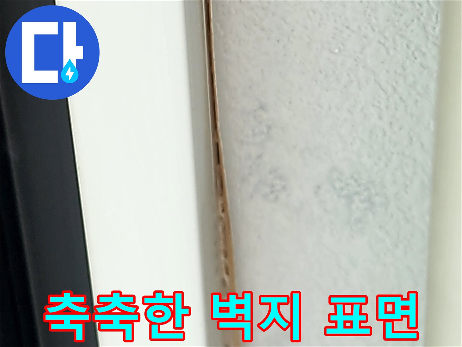 습기로 인해 짙게 변색된 벽지 상세 사진 - 현장 점검 중