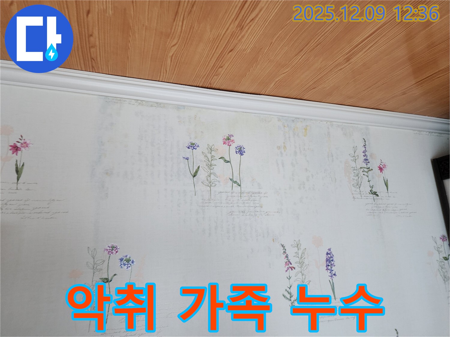 영중면 성동리 누수 문제 해결 - 곰팡이 악취 벽지로 인한 가족 건강 위협 문제 해결 누수 공사