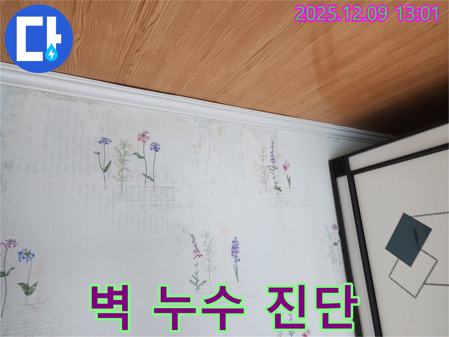 영중면 성동리 누수 현장 - 곰팡이 발생 전 벽 누수 진단 과정