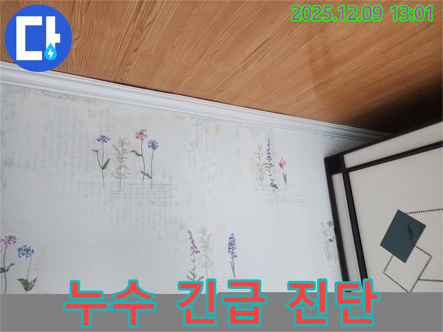 영중면 성동리 누수 현장 - 곰팡이 발생 직전 긴급 누수 진단 과정