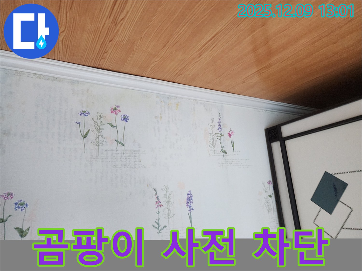 영중면 성동리 누수 현장 - 곰팡이 사전 진단 및 완벽 차단