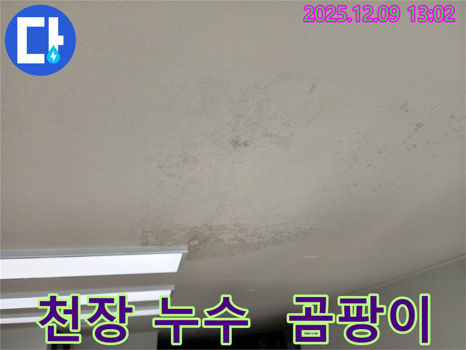 영중면 성동리 천장 누수 - 곰팡이 제거 후에도 안심은 금물! 꾸준한 관리가 필요합니다.