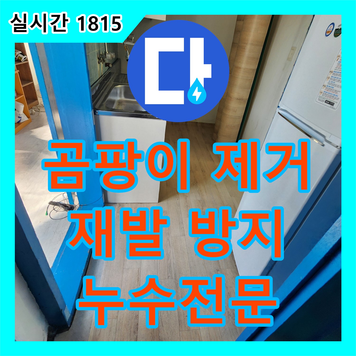 재발 방지가 핵심! 곰팡이 누수 공사, 포천시 누수전문업체 누수탐지강동구