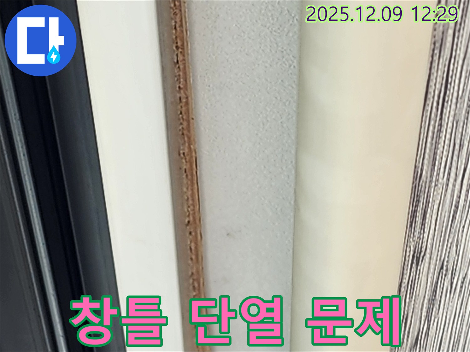 창틀 주변 곰팡이 - 단열 문제로 발생할 수 있습니다.