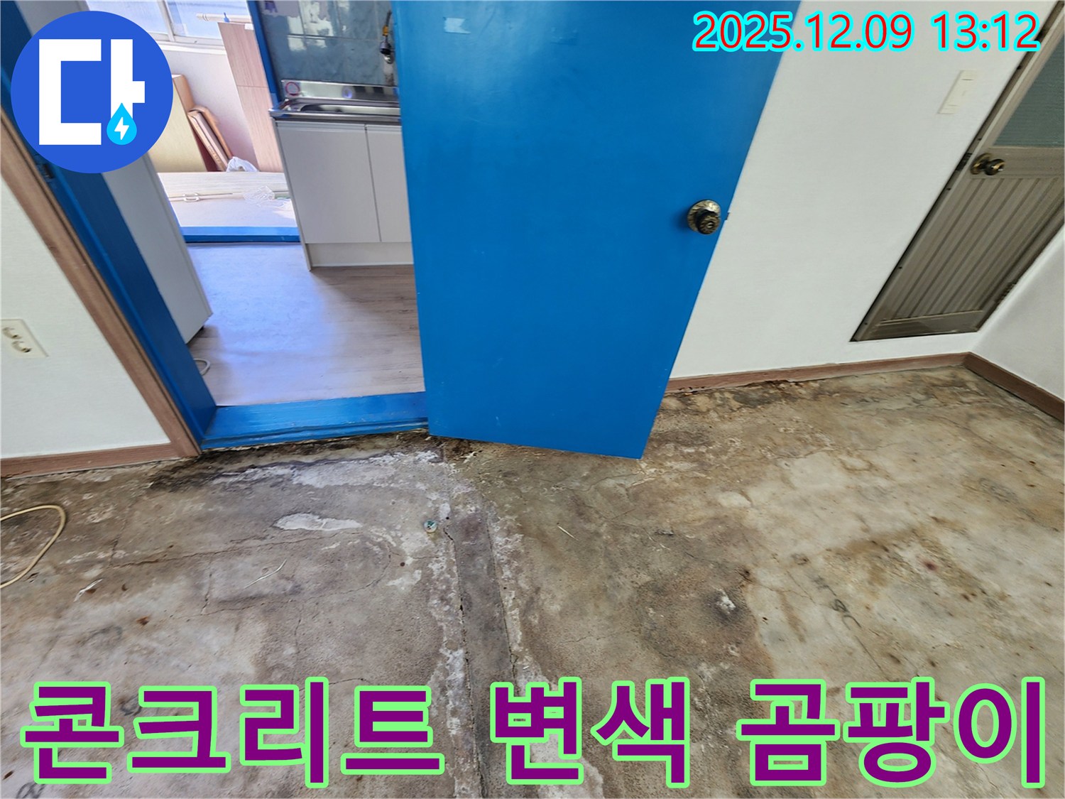 포천 성동리 누수 - 콘크리트 변색과 곰팡이 누수 상태 확인