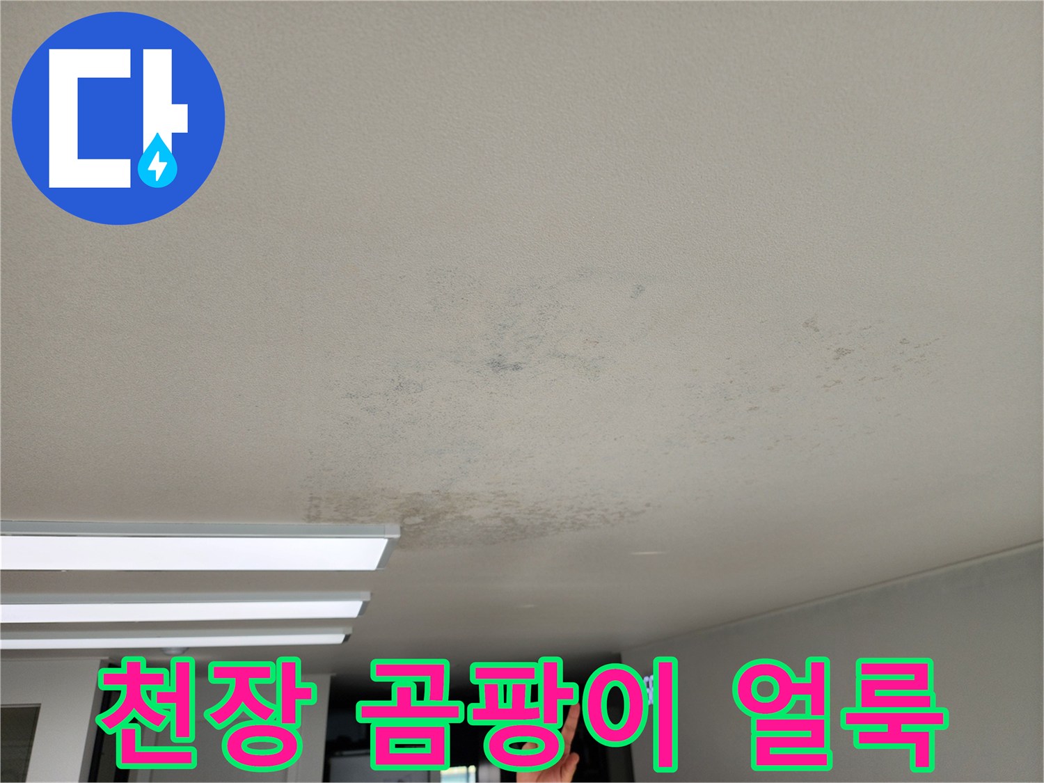 포천 성동리 현장의 천장 벽지 곰팡이 및 누수 흔적