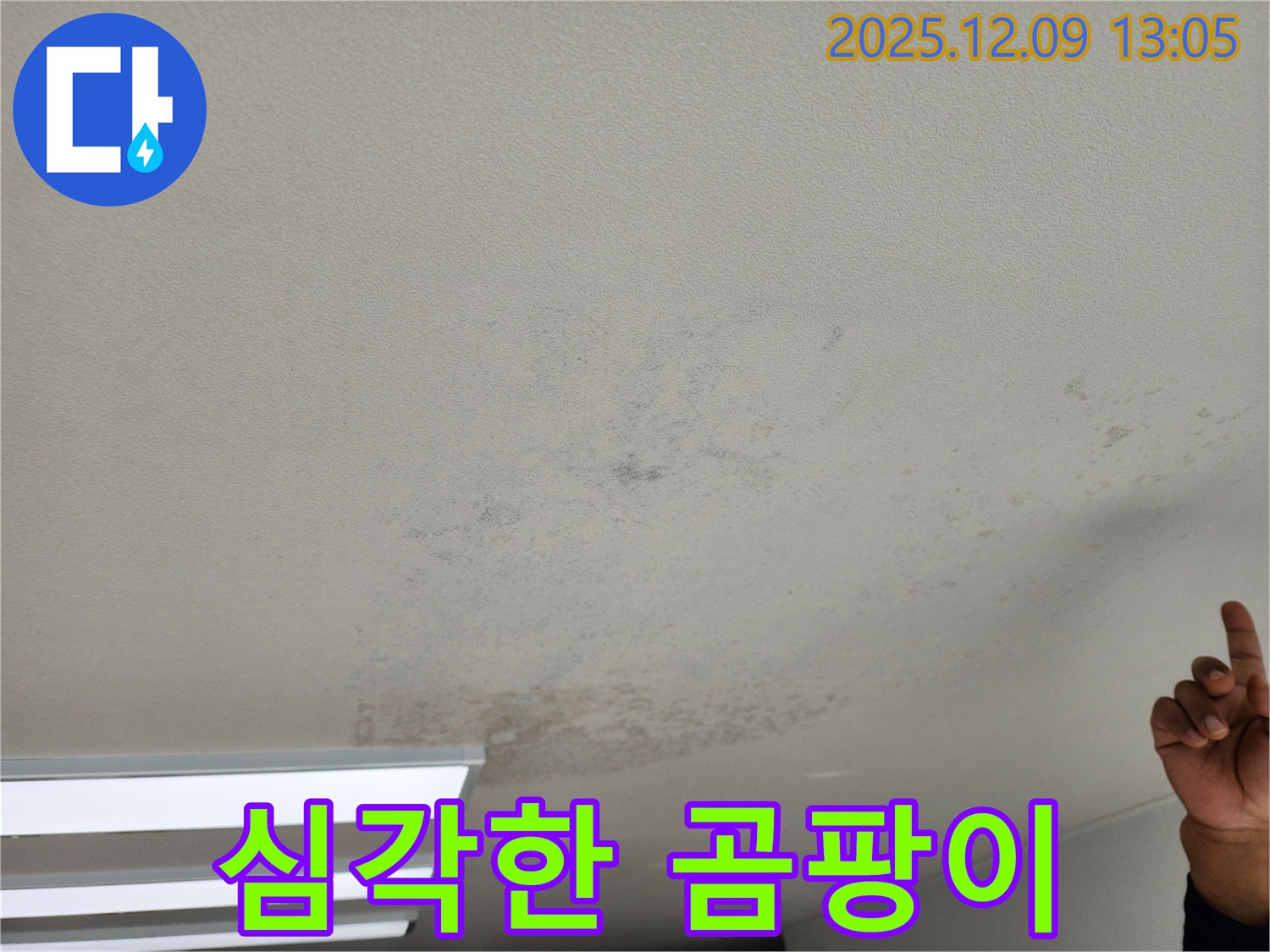 포천 영중면 긴급 누수 - 곰팡이 심각한 천장 - 긴급 누수 해결 전문가가 도와드립니다.