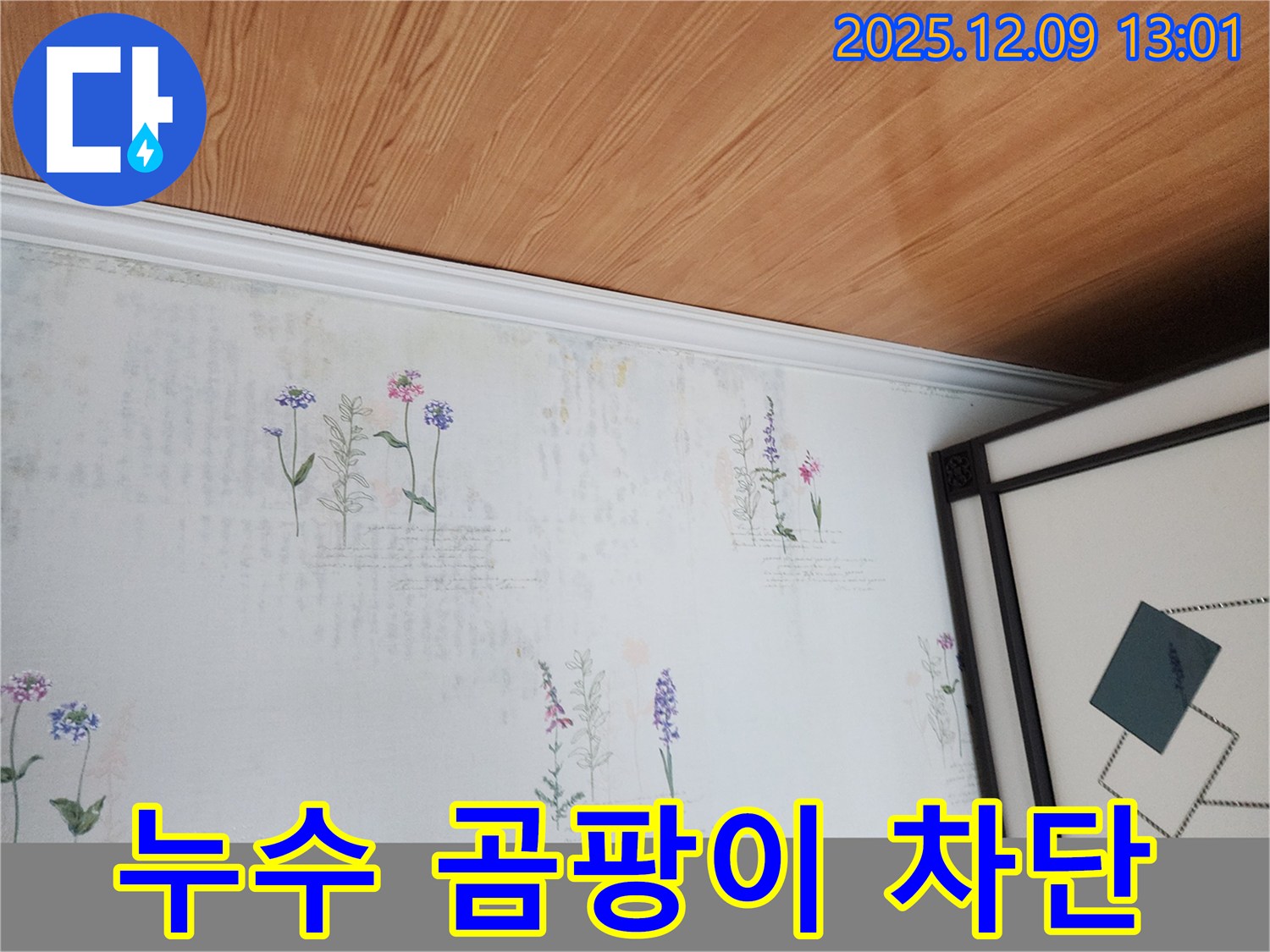 포천 영중면 누수 현장 - 곰팡이 발생 전 누수 완벽 차단 솔루션