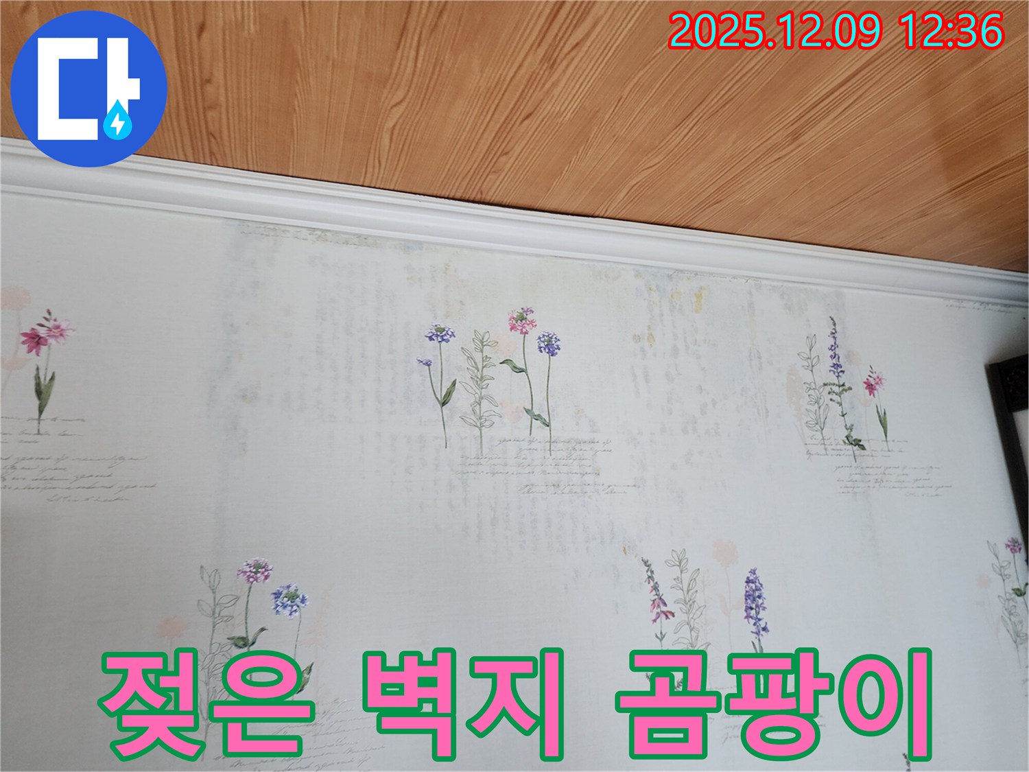 포천시 영중면 성동리 누수 현장 - 젖은 벽지와 곰팡이 문제를 해결하기 위한 누수탐지 및 공사 과정